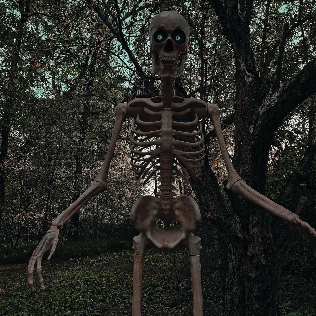 Haunted Hill Farm 8.0-Ft. Tall Motion-Activated Towering Skeleton, Premium Talking Halloween Animatronic, Plug-In