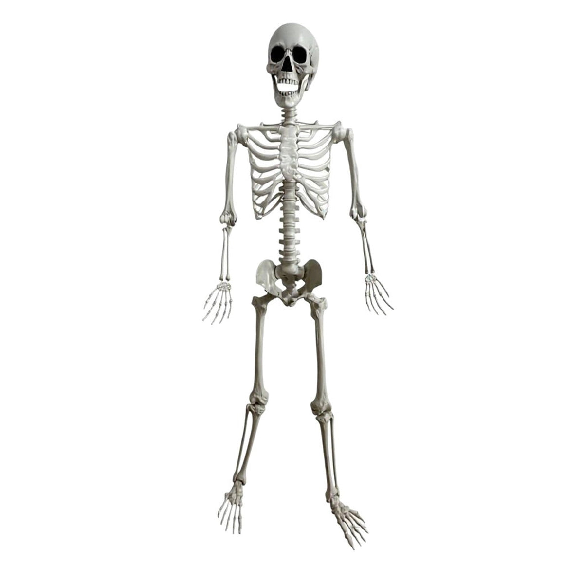 Halloween Simulation Skeleton Decoration Realistic Skeleton Prop for Halloween Party House Yard Indoor Outdoor Horror Scene Display