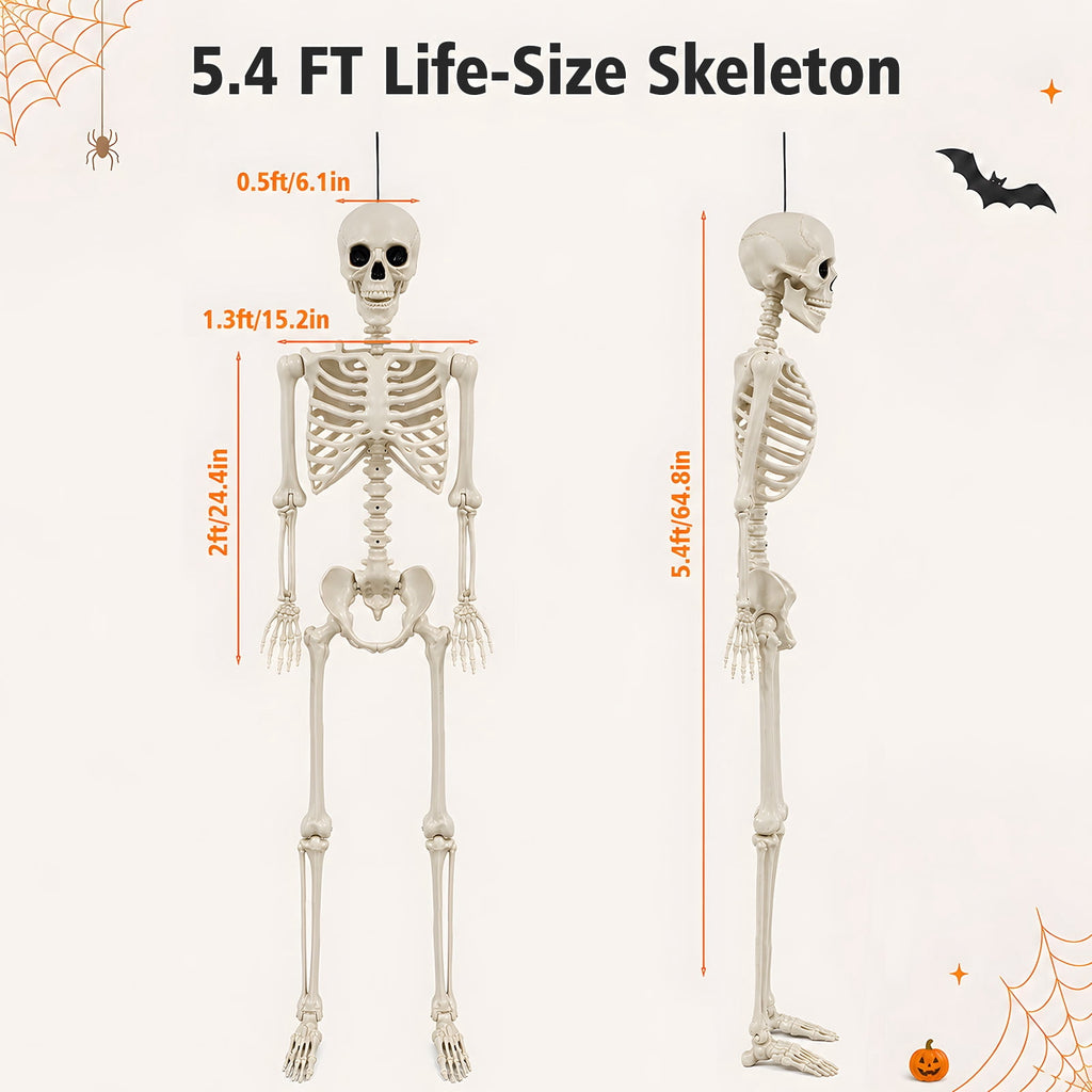 THE BRIVE 5.4ft Life Size Poseable Halloween Skeleton, Movable Joint Plastic Prop for Yard Porch Party Decor