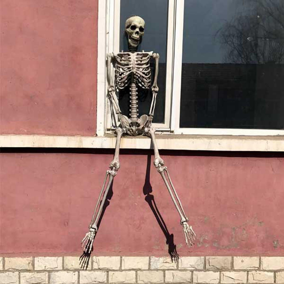 FVDPWYE Skull Halloween Skeleton Full Body Realistic Decorations Faux Human Skeleton for