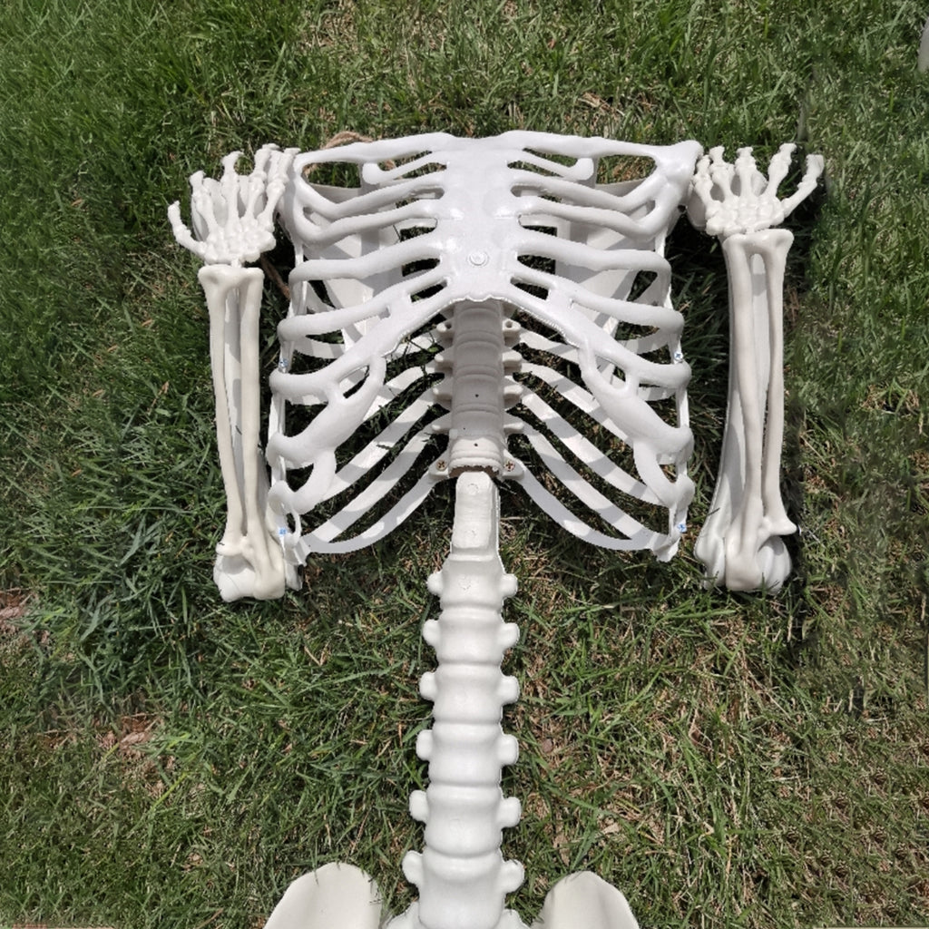Skeleton, Halloween, Life-Size Posable, Realistic Movable Joints, Haunted House Yard Indoor Outdoor Decor, 5.4ft